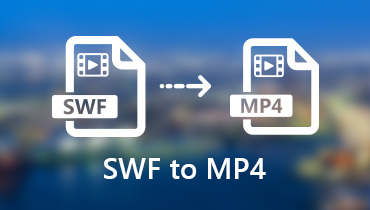 SWF を MP4 に変換