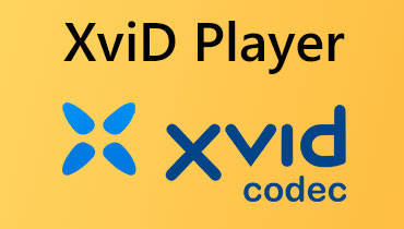 XviDプレーヤー