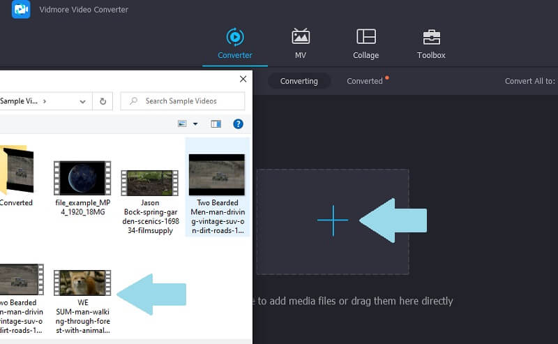Vidmore VC 動画のインポート