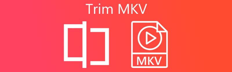 MKVをトリミング