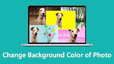 写真の背景色を変更