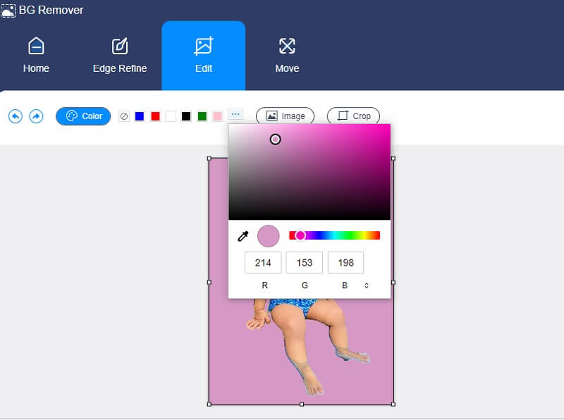 Vidmore Background Remover 色設定
