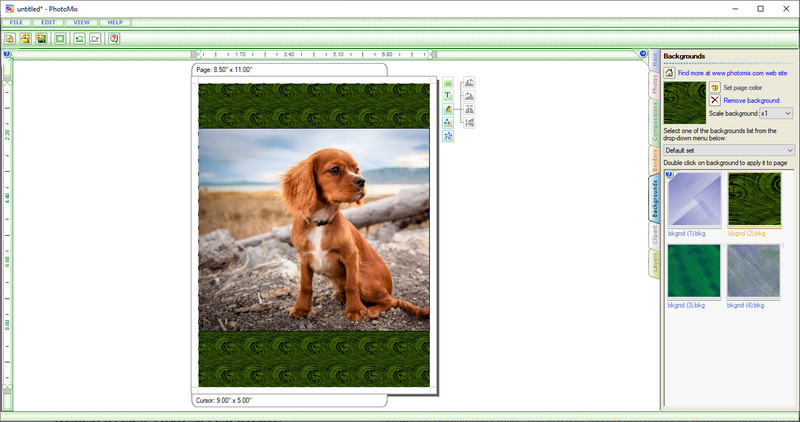 Photomix 背景リムーバー