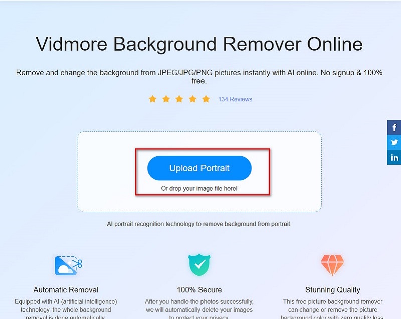Vidmore Bro ポートレートをアップロード