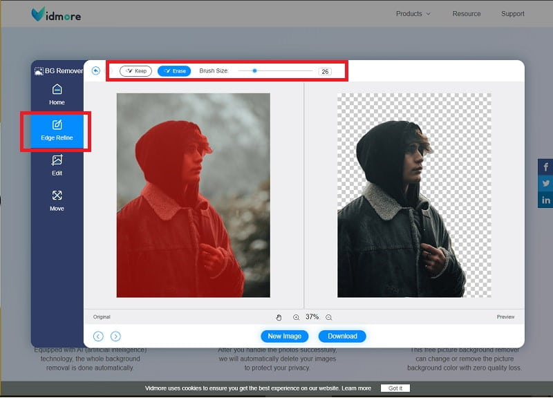 Vidmore 詳細補正