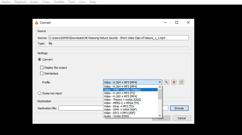 動画形式を変更