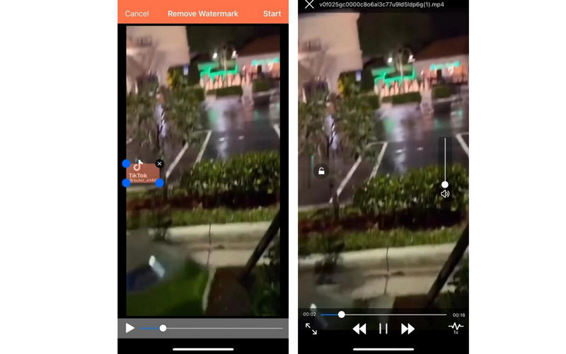 Video Eraser ロゴ削除