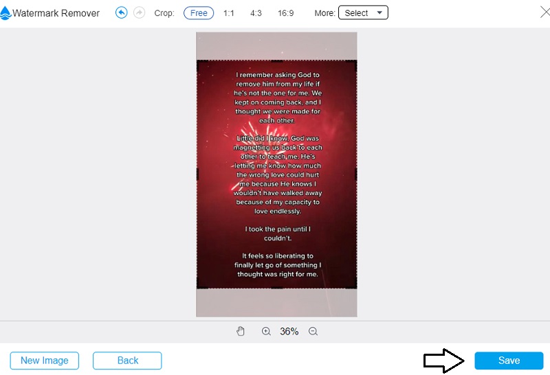 画像を保存 Vidmoreウォーターマーク