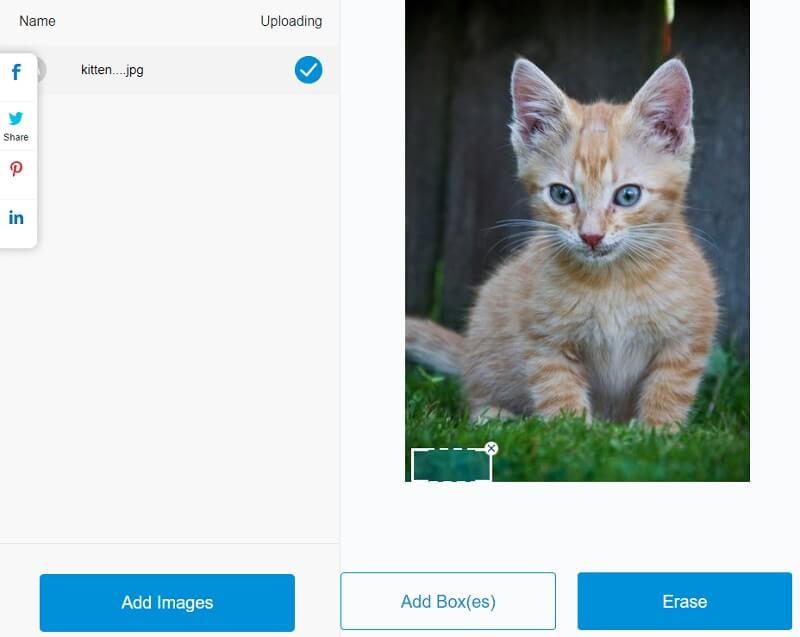 ウォーターマークを削除 Apowersoft VM