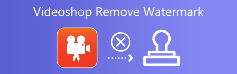 Videshop ウォーターマーク削除