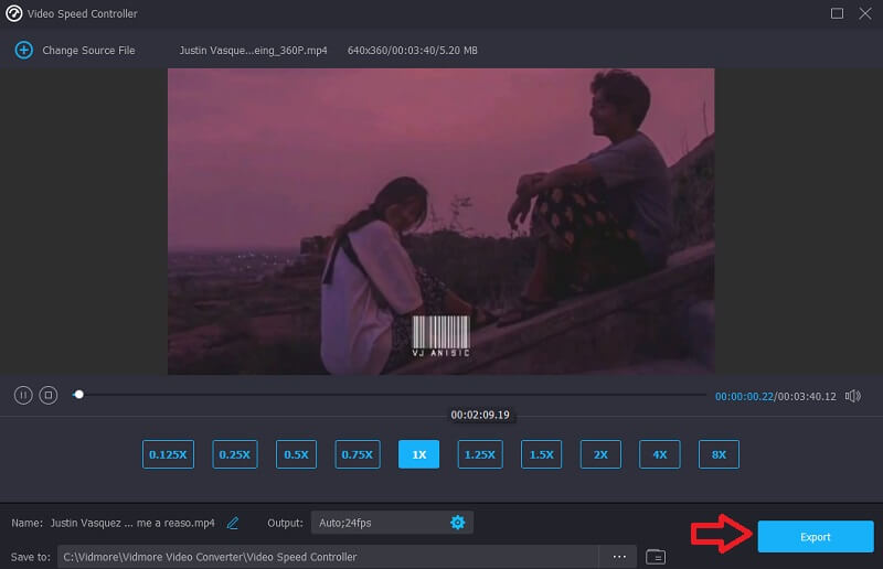 書き出し Vidmore