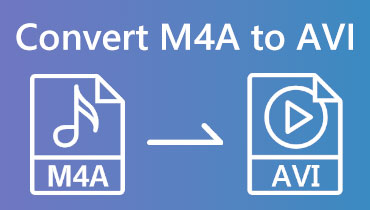 MP4をAVIに変換