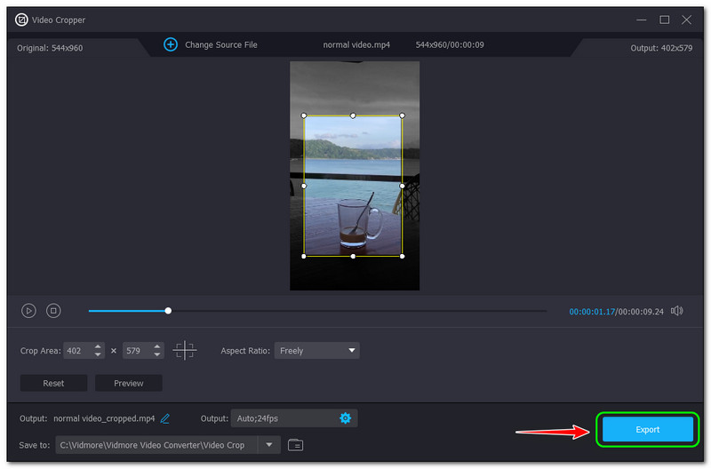 iPhoneで動画をクロップ Vidmore Video Converter 書き出しボタン