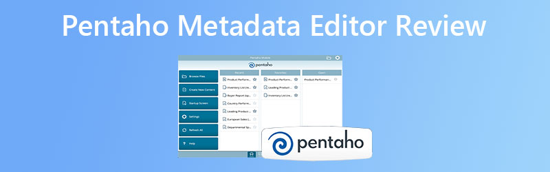 Pentaho Editor レビュー