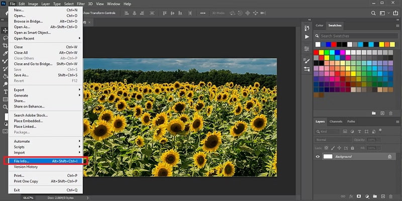 Photoshop でメタデータを表示