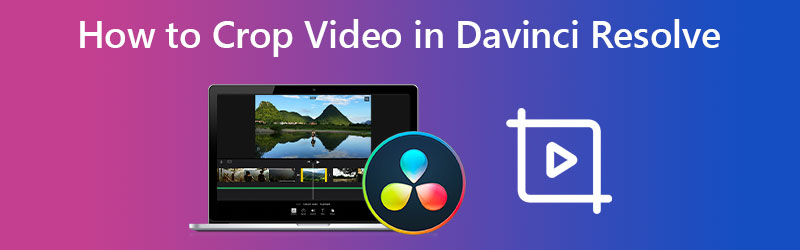 Davinci Resolve を使って動画をクロップする