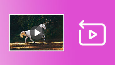 動画を逆再生で再生する方法