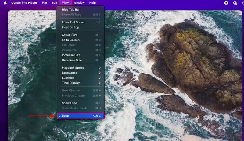 QuickTime で動画をループ再生する方法