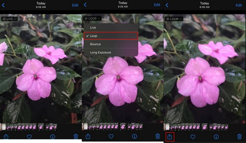 iPhoneのカメラロールで動画をループ再生する方法