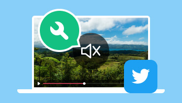 Twitter 動画に音が出ないときの対処法