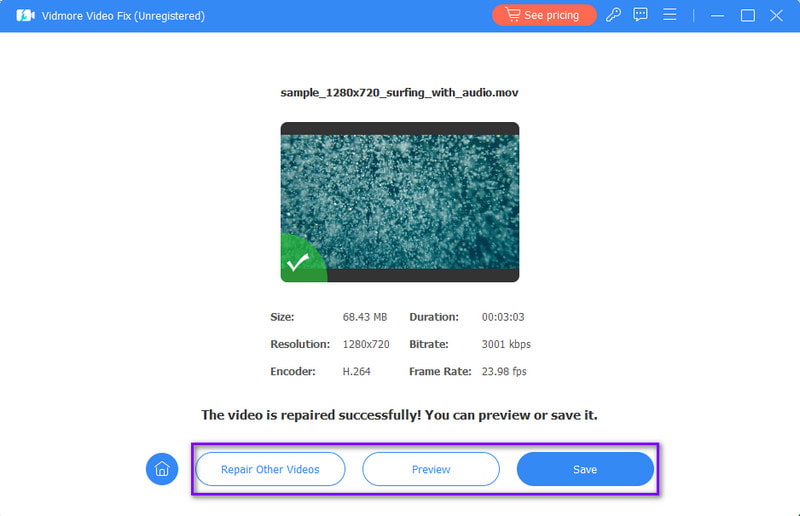プレビューを保存して、他の動画も修復する