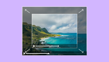 動画リサイズツール