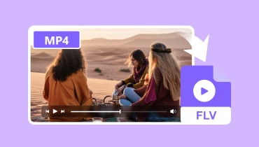 MP4 を FLV に変換