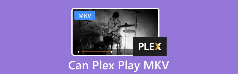 PlexでMKVを再生する方法