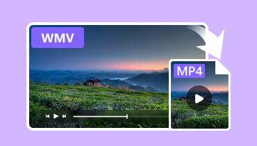 WMVをMP4に変換する方法