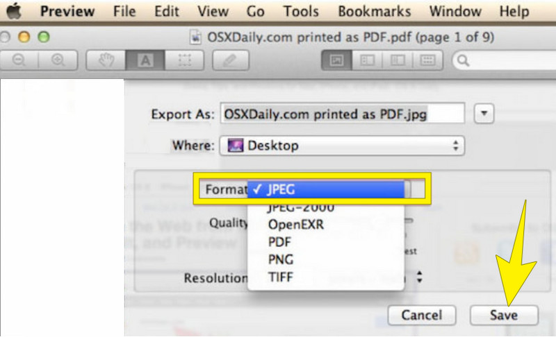 プレビューでの変換