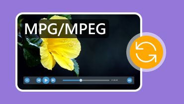 Mpg・Mpegコンバーター