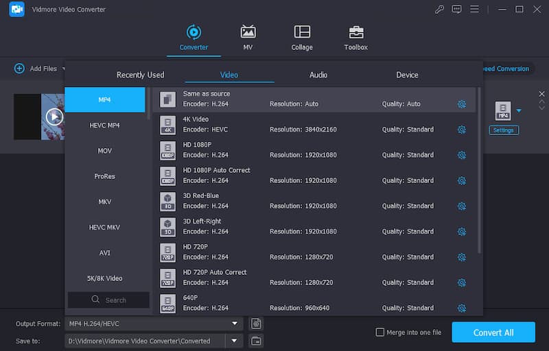 Vidmore Video Converter 出力形式