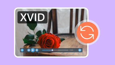 Xvid 変換ツール