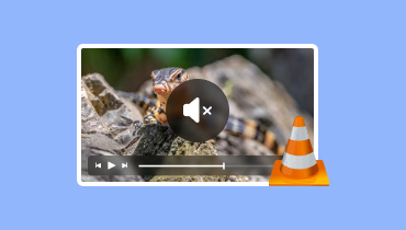 VLC メディアプレーヤーで音が出ない場合
