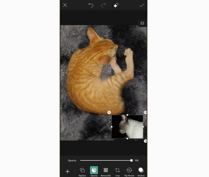 画像の追加