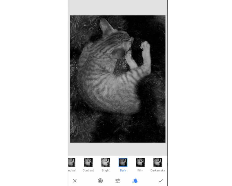 モノクロ