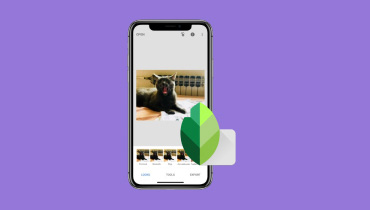 Snapseedのレビュー