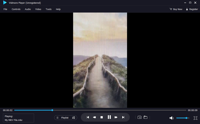 Vidmore Player MKV プレーヤー（Windows 向け）