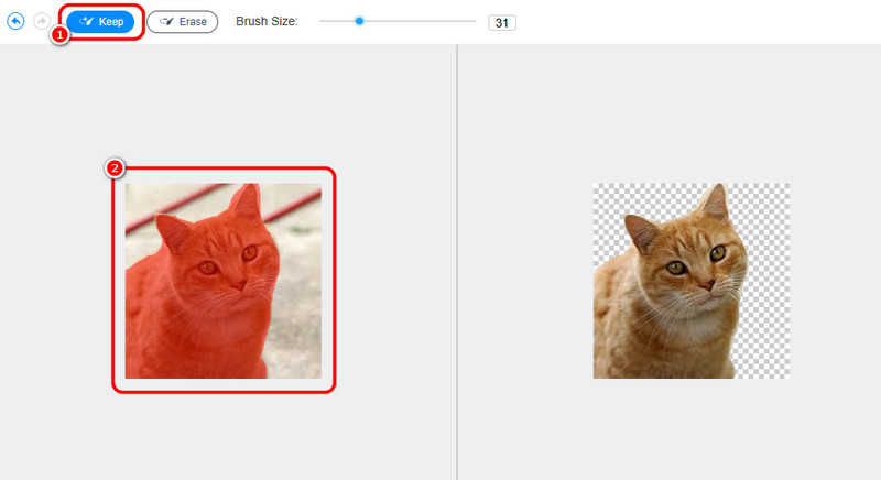 Keep Highlight 画像 Vidmore