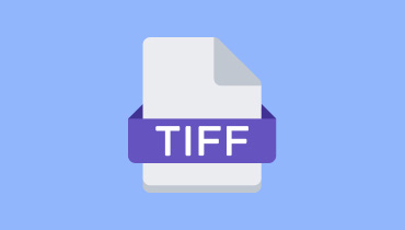 TIFFの定義 S
