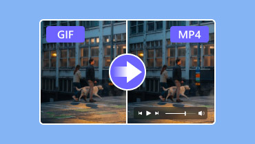 GIFをMP4に変換