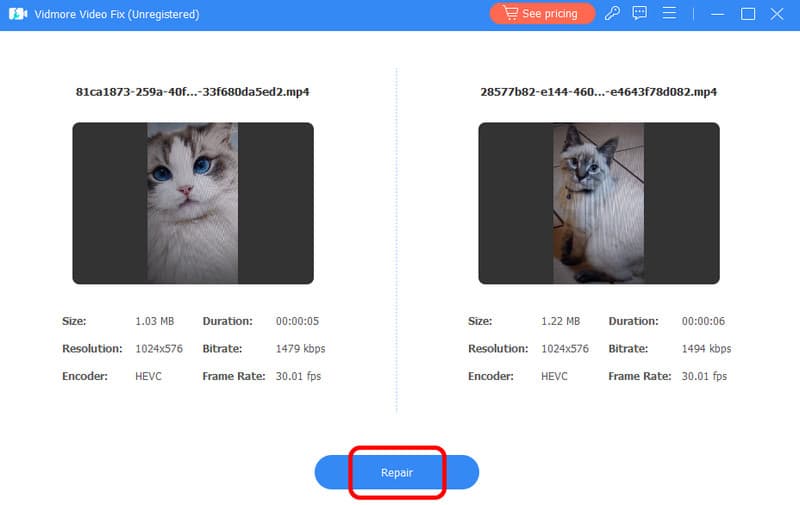 修復ボタンをクリック Vidmore
