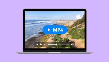 MacでMP4を再生する