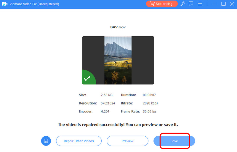 保存ボタン　Vidmore