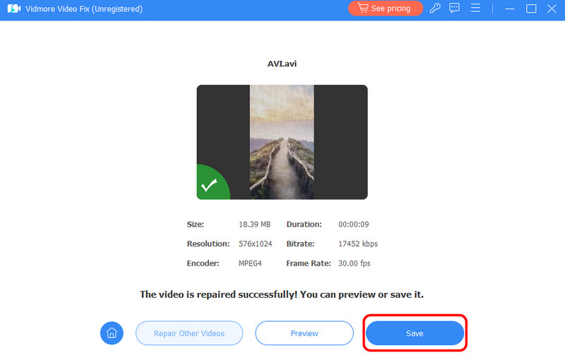 動画を保存 – Vidmore