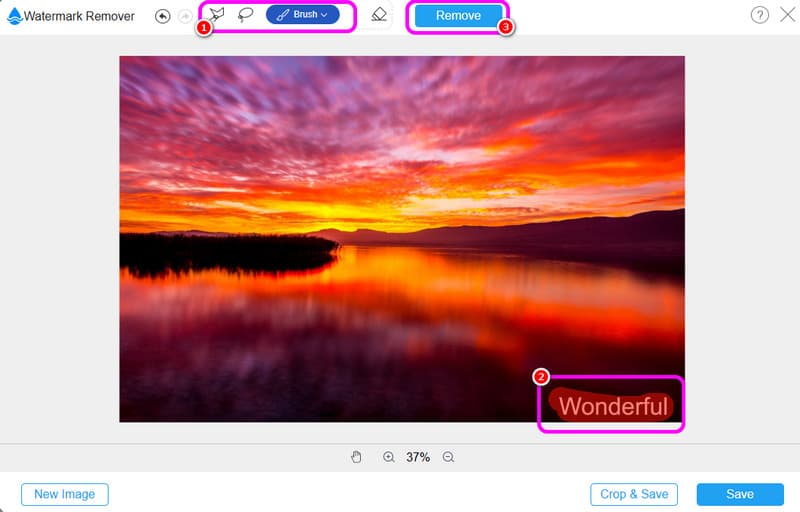「Remove」ボタンをクリック（Vidmore）。