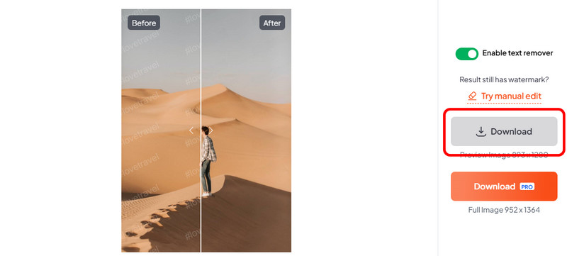 「Download」ボタンをクリック（Dewatermark）。