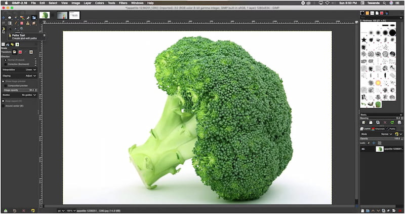 Gnu 画像操作プログラム（GIMP）