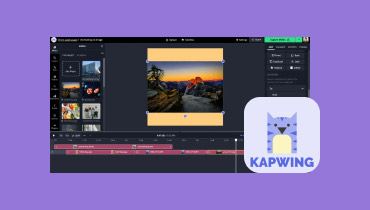 Kapwing動画コンバーターの代替ツール