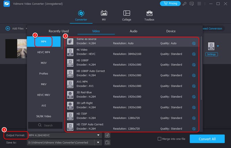出力形式（Vidmore）